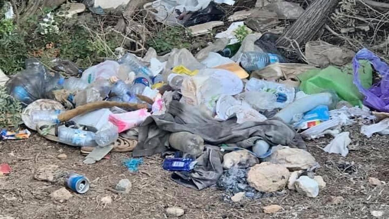 İsyan ettiren görüntü