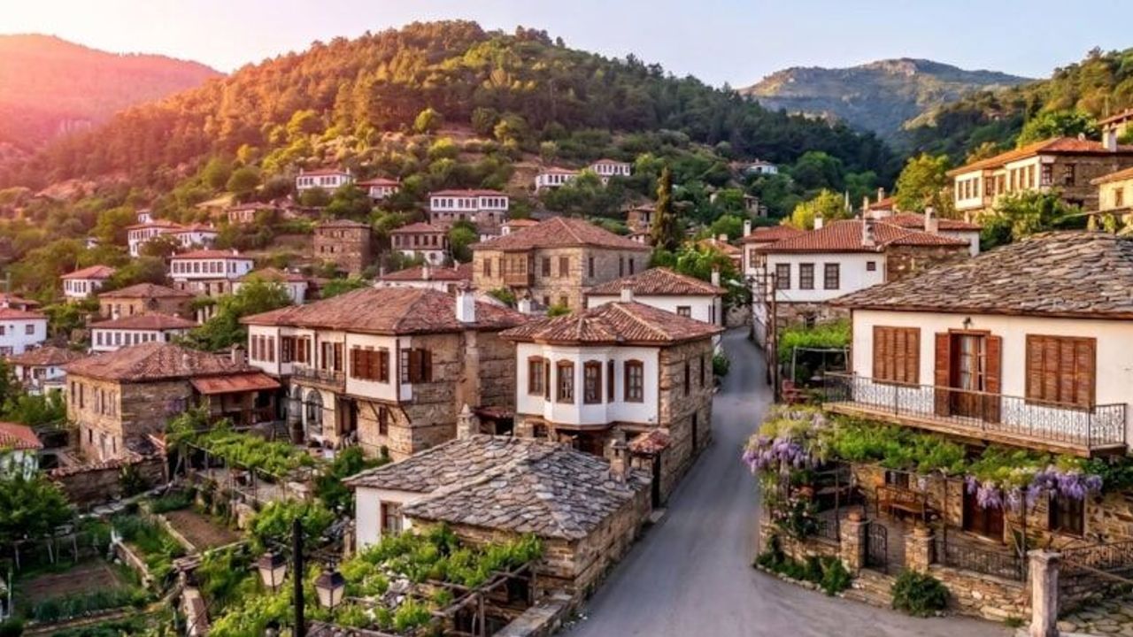 Koca köyde tek başına yaşıyor