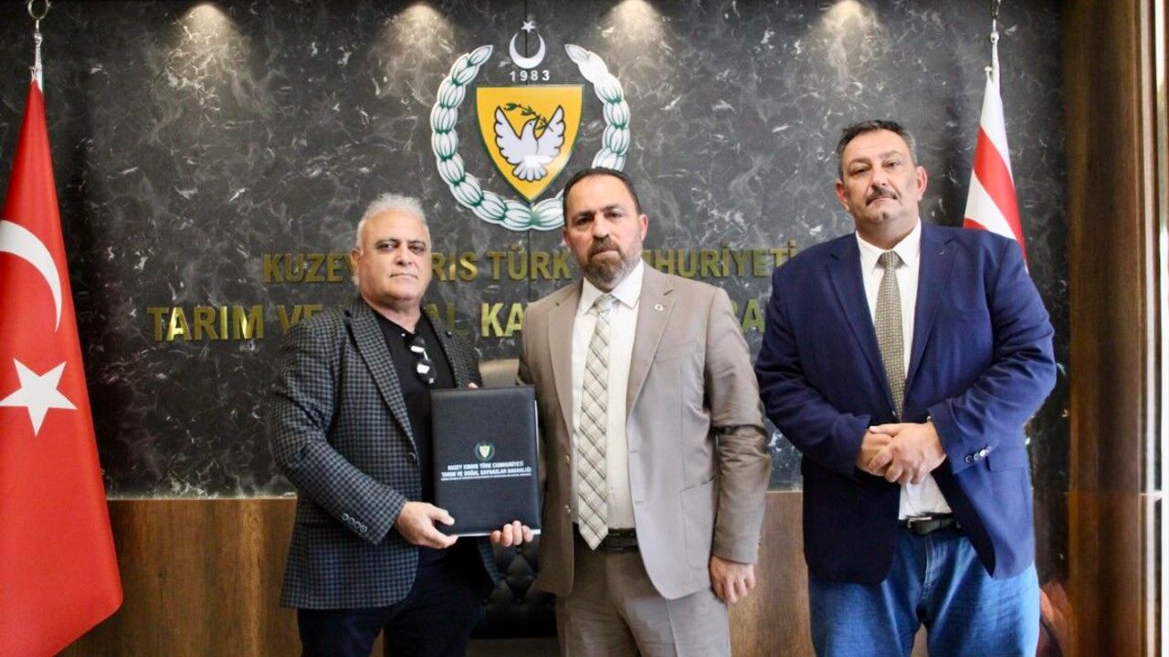 Yukarı Dikmen Kuzeybatı Havzası Deresi’ne betonarme ıslah sekisi yapılıyor