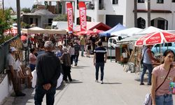 Kalavaç, Kültür-Sanat festivaliyle renklendi