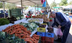 ''Hal Yasası Neden Uygulanmıyor''