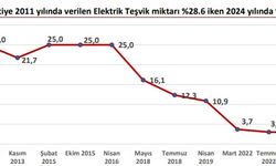 “Sanayiye verilen elektrik teşvikleri etkisini yitirdi”