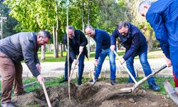 Çağlayan Parkı’nda iki toplumlu ağaçlandırma çalışması yapıldı