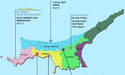 2024, son 49 yılın en sıcak yılı oldu