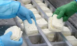 KKTC’de üretilen hellim Yeşil Hattan geçemiyor