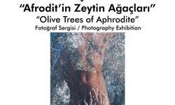 “Afrodit’in Zeytin Ağaçları” fotoğraf sergisi de açılıyor