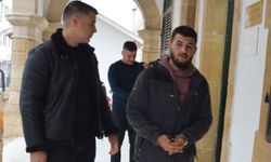 Mikrodalgadan silah ve mermi çıktı