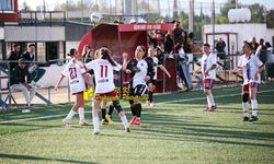 Doğan T. Birliği, Yenicami ve GG yarı finalde
