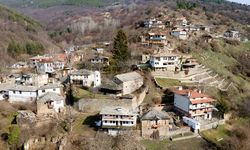 Bu köye taşınana 2 milyon lira veriliyor