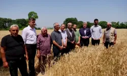 Baflı çiftçiler SOS verdi: “Alçak kesimlerde tarım bitecek”