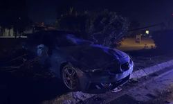 Yoldan çıktı, ağaçlara çarptı