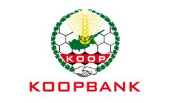 Kıbrıs Türk Kooperatif Merkez Bankası’ndan personel alımıyla ilgili açıklama