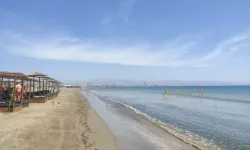 Lady’s Mile plajıyla ilgili alarm durumu sona erdi