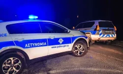 Kıbrıslı Türkler Güney’den hayvan, araba, araba parçası çalmakla suçlanıyor