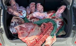 Köprülü’de bir kamyonette 195 kilo kaçak et bulundu
