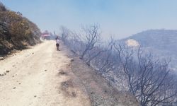 Elektrik telleri iki ayrı yangına neden oldu