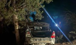 Yoldan çıktı, ağaca çarptı