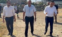 “Kıb-Tek konusunda ciddi hamleler var”