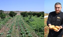 Les Ambassadeurs’tan Yerel Üreticiye Anlamlı Destek