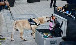 Dedektör köpek “Lokum” uyuşturucuyu buldu