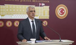 DEM Parti'li Gergerlioğlu: "PKK, 11 Temmuz’da silah bırakacak”
