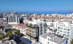 Kıbrıs Türk mallarının kullanımına ilişkin yasa..