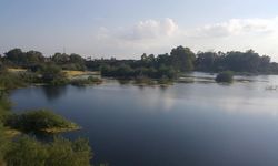 Sivil toplum örgütleri Ayluga Sulak Alanı’nı koruma çağrısında bulundu