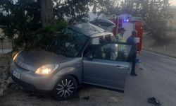 Trafiğe bir genç can daha