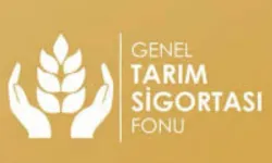Büyükbaş düşük tazminatları ödendi