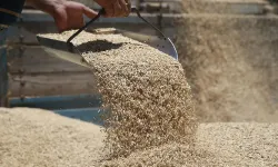 4 bin 500 ton arpanın yarın sabah Gazimağusa Limanı’na ulaşması bekleniyor