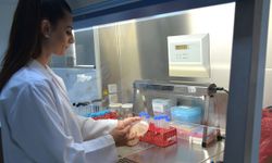 Yakın Doğu Üniversitesi’nden tarihi keşif: Alasiavirus!