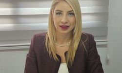 "Gıda denetimlerinin gıda mühendisi olmadan yapılması halk sağlığı açısından ciddi bir risk..."