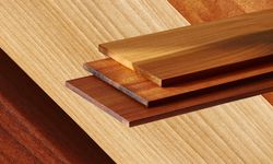 Bilim insanları çeliğin 10 katı güçlü “Süper ahşap” geliştirdi