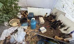 Gazimağusa'da 40 adet dana ayağını közleyen bir şahsı suçüstü yakalandı