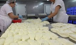 Hellim, Yeşil Hat'tı aşamadı