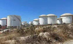 Vasiliko’daki terminal projesi k esildiğinden beri günde 1 milyon euro zarar