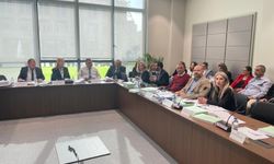 Berova: “Vergi gelirlerinde yüzde 61, kira-stopaj gelirlerinde yüzde 100’lük artış”