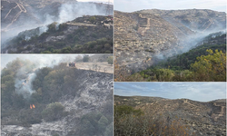 Avrupa Komisyonu’ndan Limasol ve Baf’ta çıkan yangınlar için Rum kesimine 2,3 milyon euro