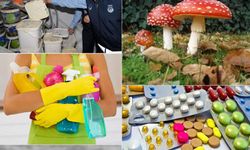 Zehirlenme: Her Evde, Her Adımda Sessiz Tehlike