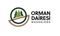 Orman Dairesi: Boğazköy'deki ağaç kesimi izinsiz yapıldı