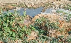 Lefke Çevre ve Ekoloji Derneği Gemikonağı Deresi ile ilgili açıklama yaptı