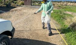 Çatalköy-Esentepe Belediyesi’nden şap hastalığına karşı üst düzey önlem