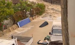 “Önlem alınmazsa tablo değişmeyecek”