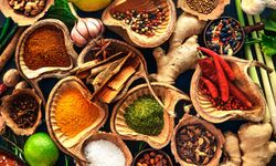 Baharatların Binlerce Yıllık Serüven