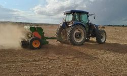 Çiftçi ve hayvancı ekime hız verdi