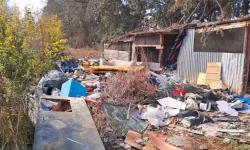 Limasol'da ağaçlık alanlardaki çöpler çevre felaketine dönüşüyor