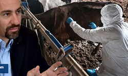 “Şap hastalığına karşı hiçbir tedbir alınmadı”