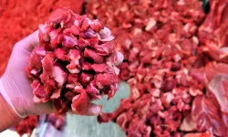 “Etleri en az 72 derecede pişirin”