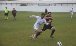 Yalova hayata, Hamitköy komaya