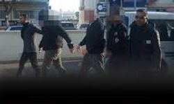 Sınır hattında hayvan kaçakçılığı